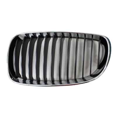 BM1200238 Grille Main